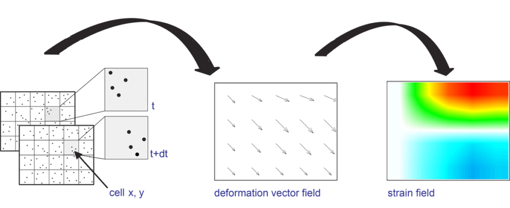 digital image correlation